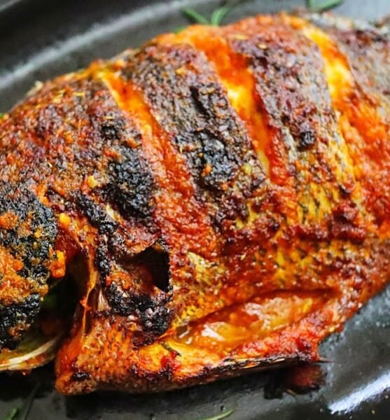 tilapia