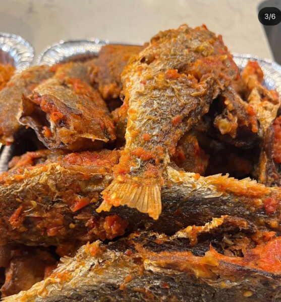 Peppered Croaker Fish1